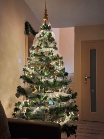 Messenger_creation_196CF35D-DF9A-4EDA-AC8B-30C6714E8A90